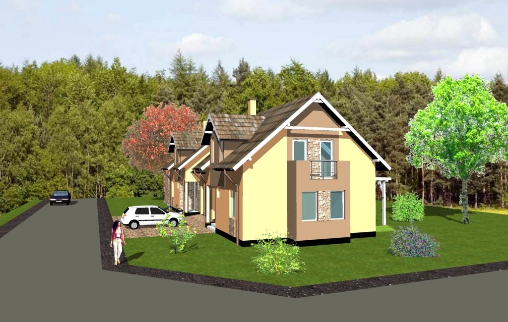 project vizualization twin