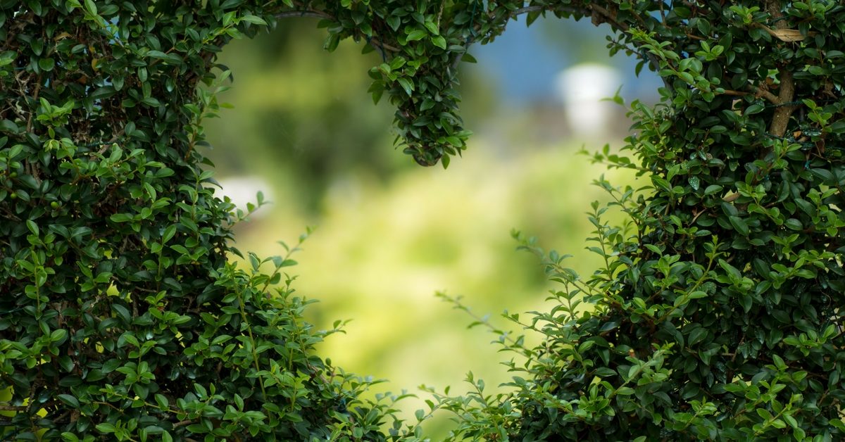 cover photo green love