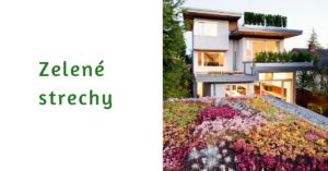 cover photo zelene strechy